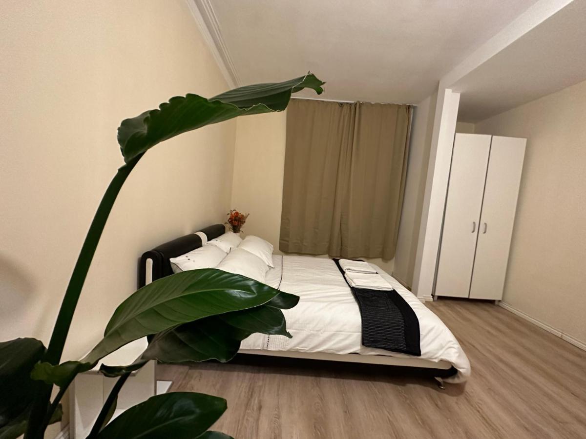 North London A Spacious 7 Bedroom House Accommodating Up To 18 People Complete With Own Gym And Table Tennis Buitenkant foto